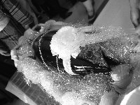 IMG06_008.jpg